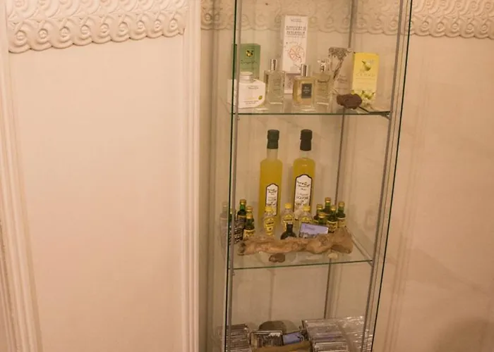 乐欧尔基德酒店 酒店