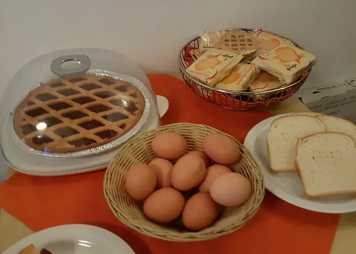 酒店 乐欧尔基德酒店