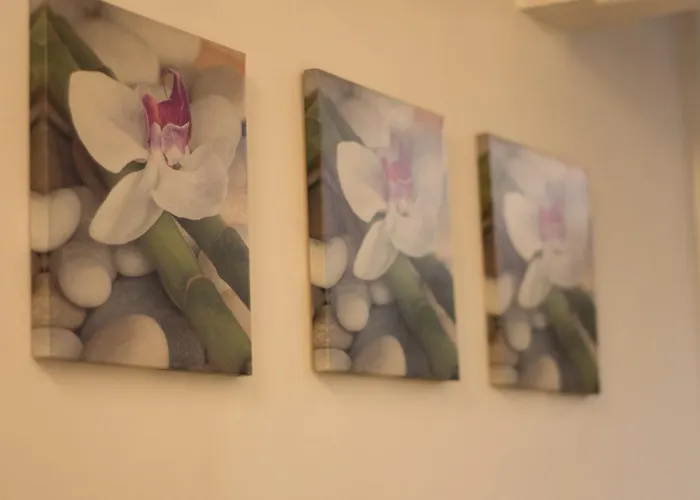 Le Orchidee Hotel Nápoles